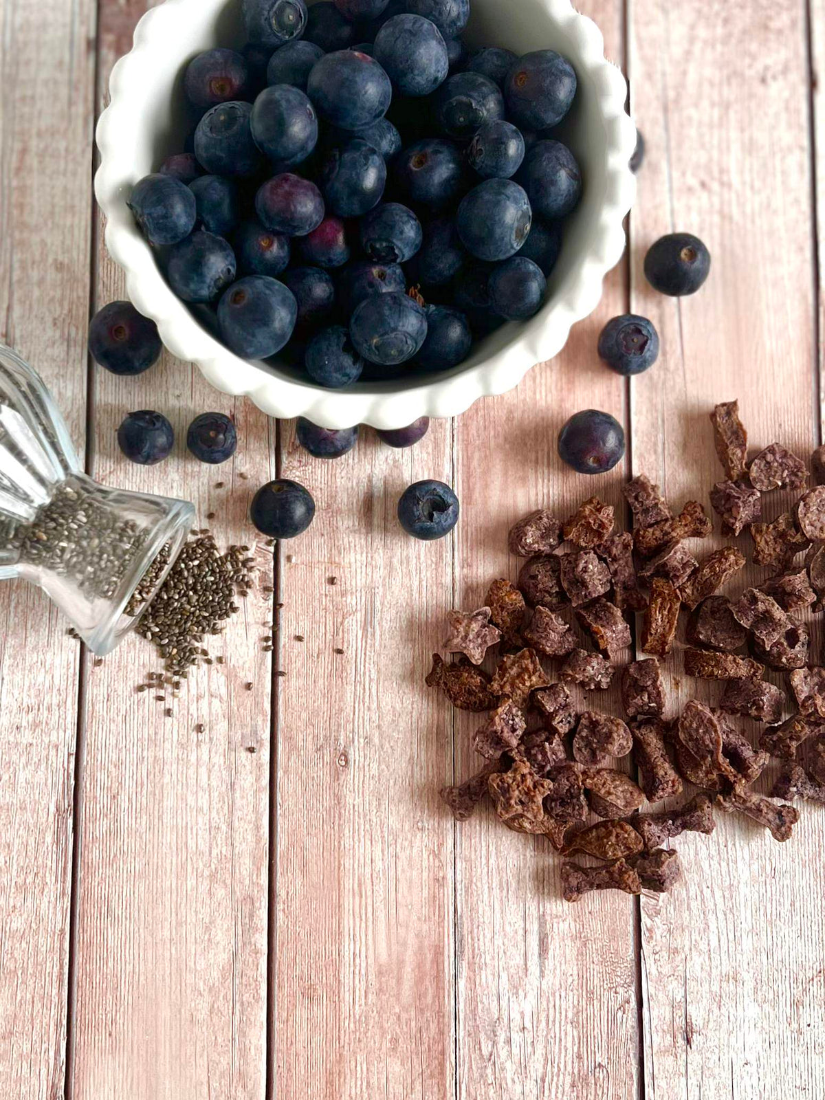 Blueberry & Chia Dog Food Topper | Immune Support for Dogs
