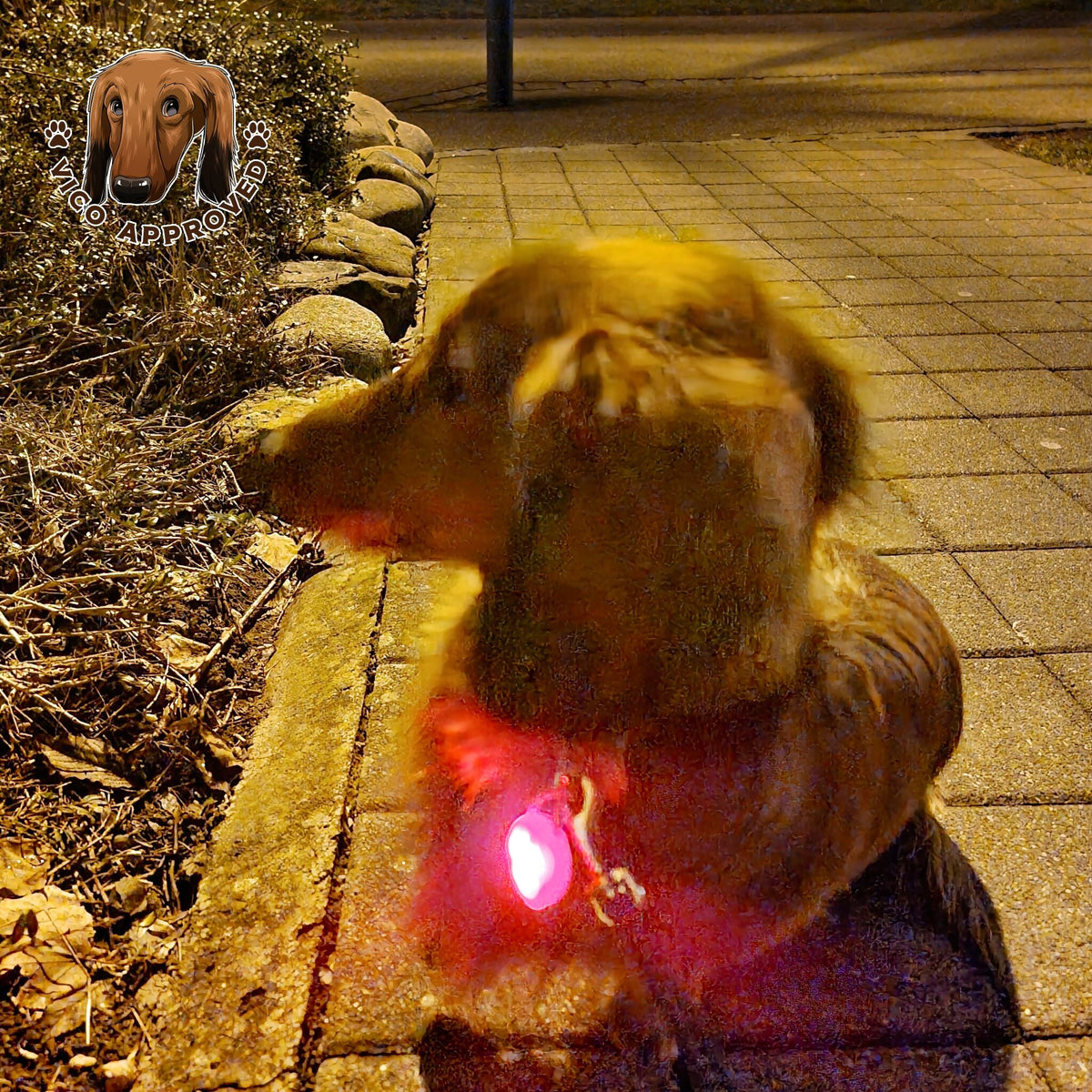 Dog Style