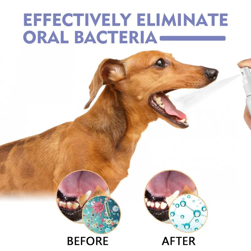 Pet Teeth Cleaning Spray Oral Care Remove Tooth Stains Keep Fresh Breath for Cats and Dogs Whitening  Remove bad breath