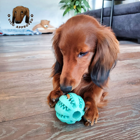 ChewyChuckle - Gummiball für Hunde mit Zahnpflege