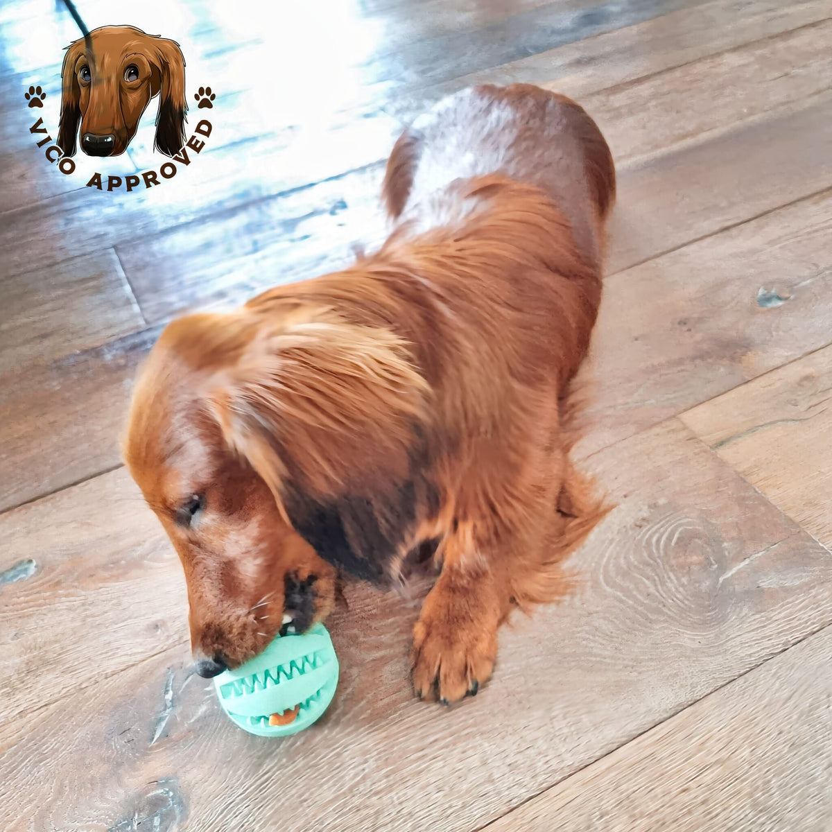 ChewyChuckle - Gummiball für Hunde mit Zahnpflege
