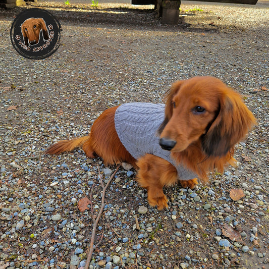 Doggy - Strickjacke für Hunde