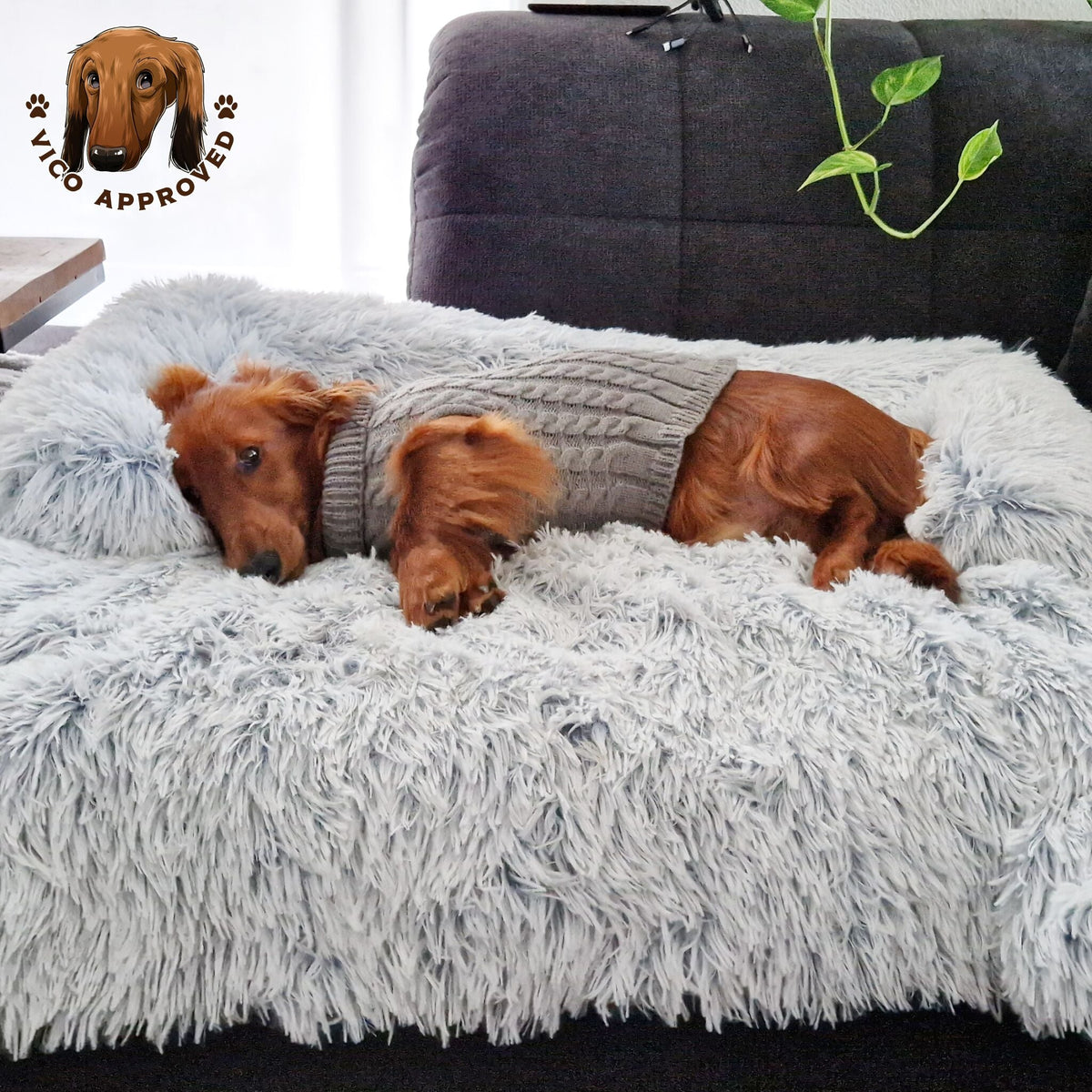 Doggy - Strickjacke für Hunde