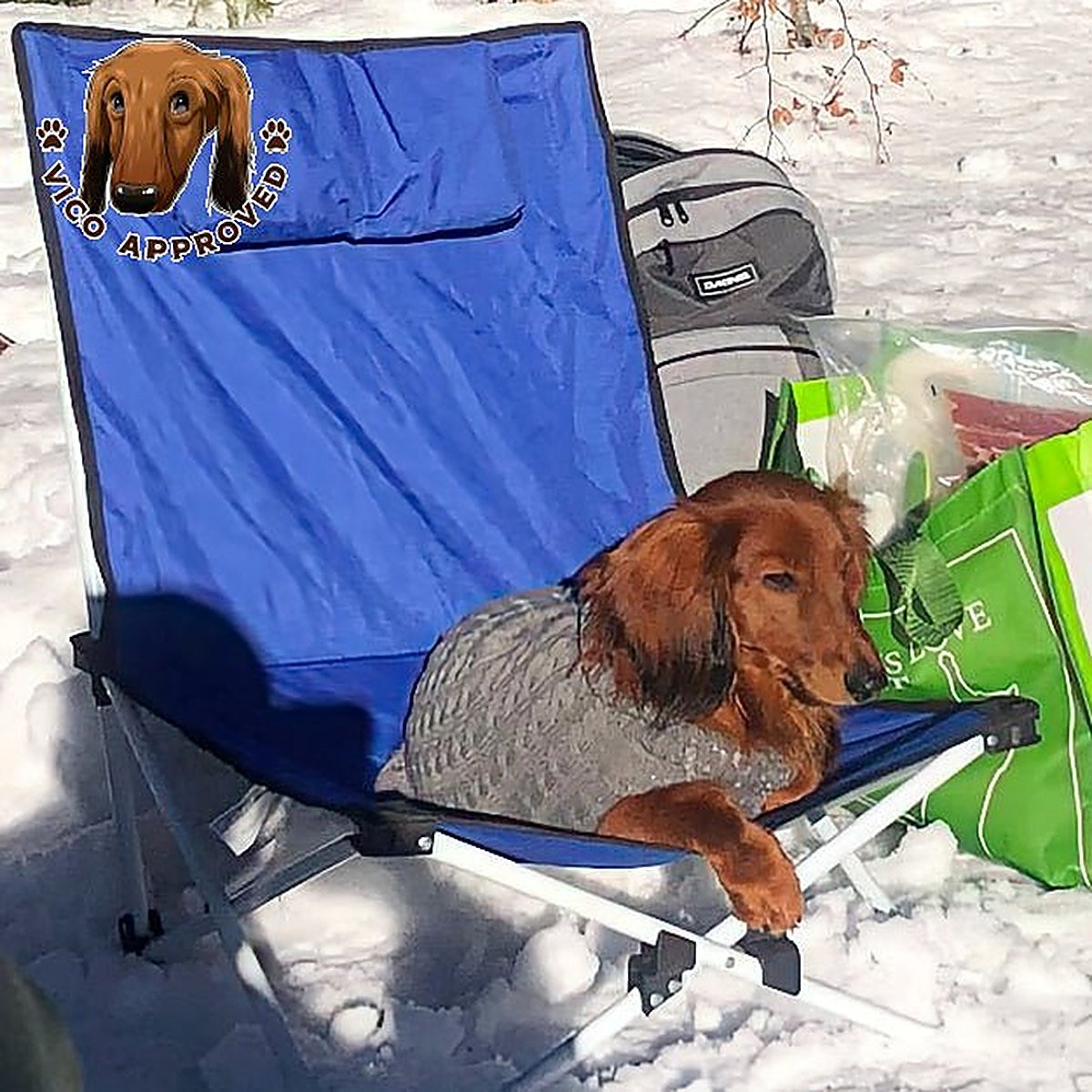 Doggy - Strickjacke für Hunde