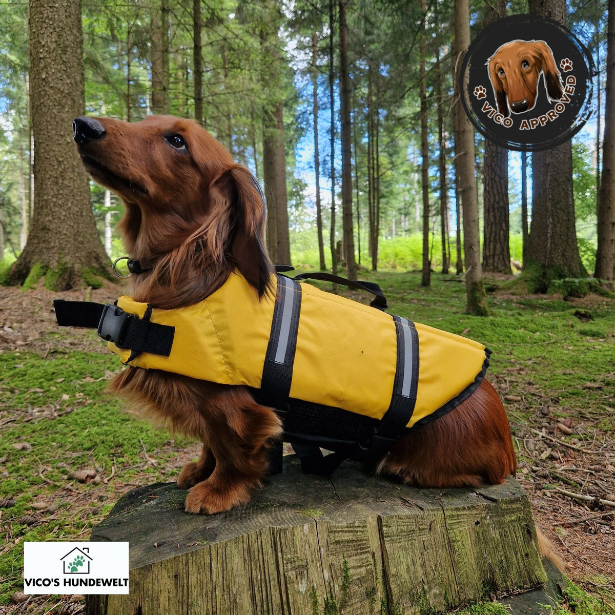 PawGuard - Schwimmweste für Hunde