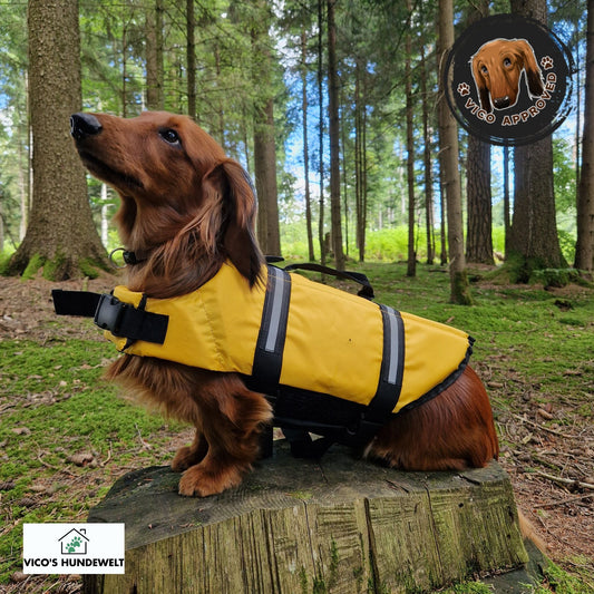 PawGuard - Schwimmweste für Hunde