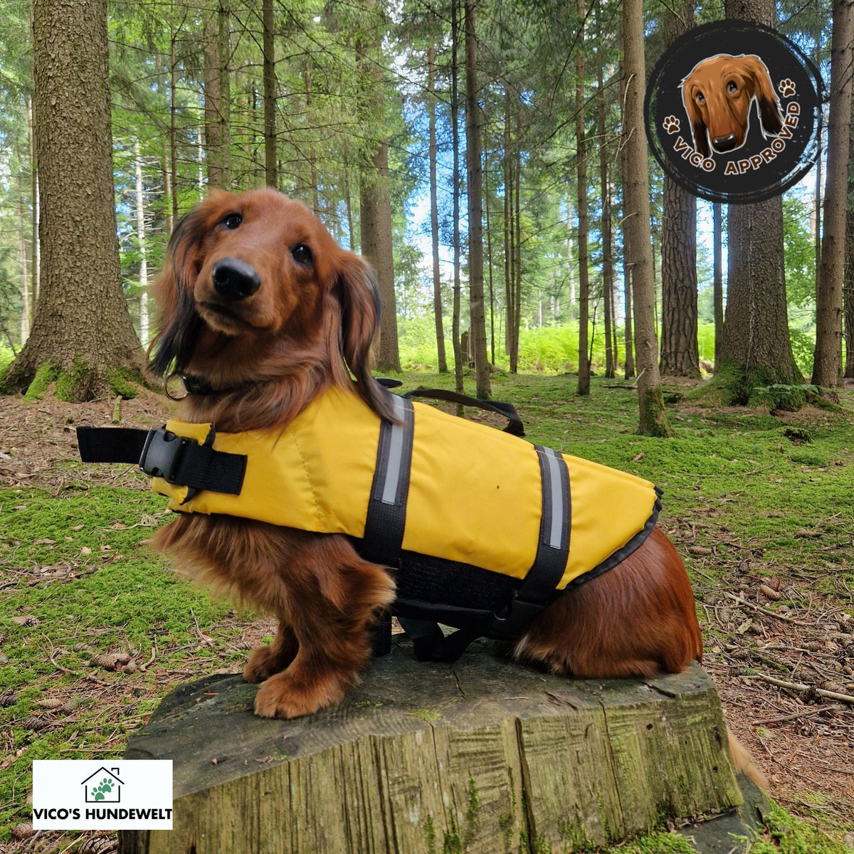 PawGuard - Schwimmweste für Hunde