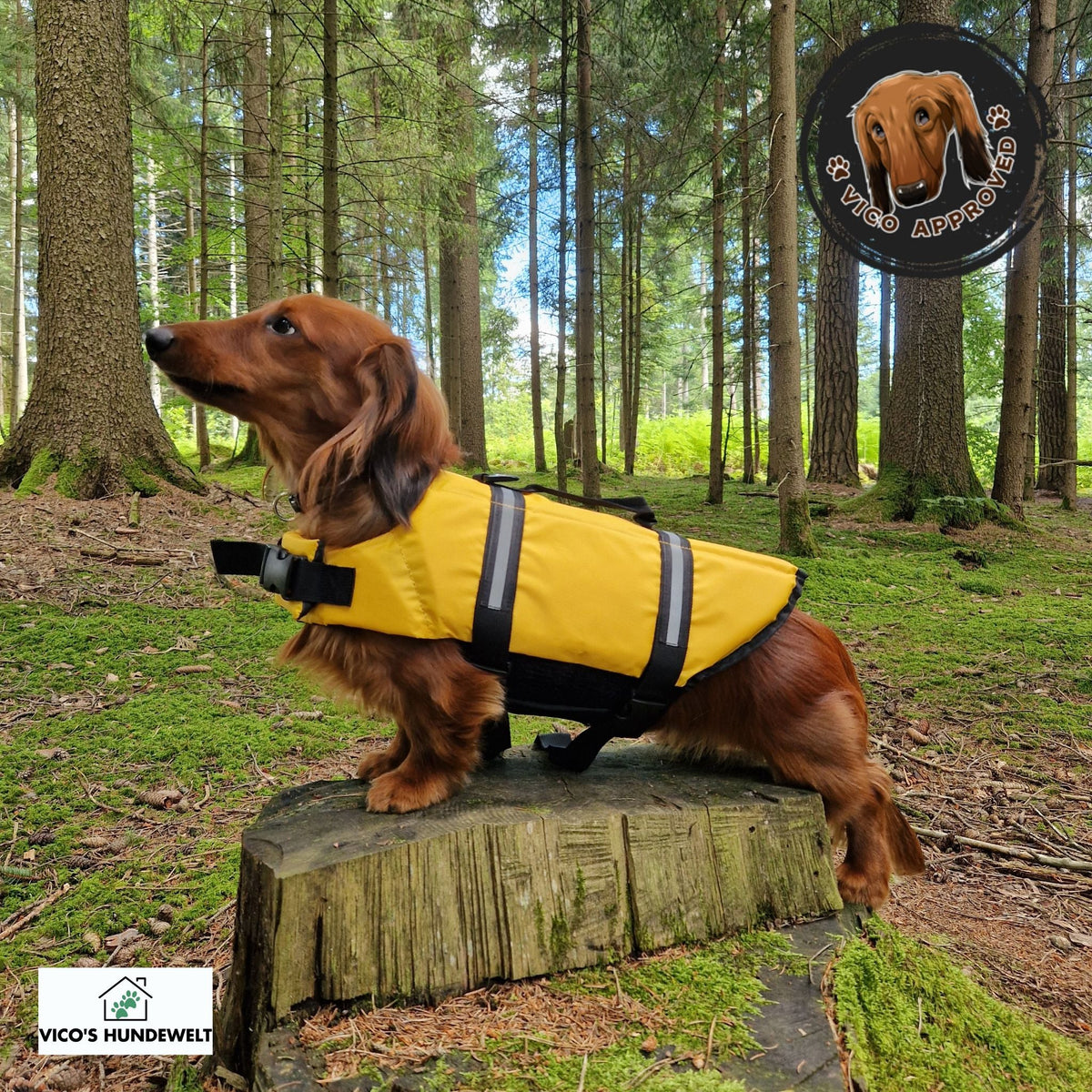 PawGuard - Schwimmweste für Hunde